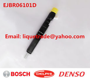 LA CHINE DELPHI Genuine et nouvel injecteur commun de rail EJBR06101D pour YUCHAI 2,5 4F FB3001112100011 fournisseur