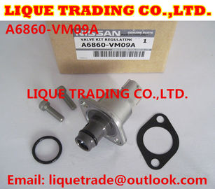 LA CHINE Kits de révision 294200-0360 294009-0250 pour MITSUBISHI 1460A037, NISSAN A6860-VM09A fournisseur
