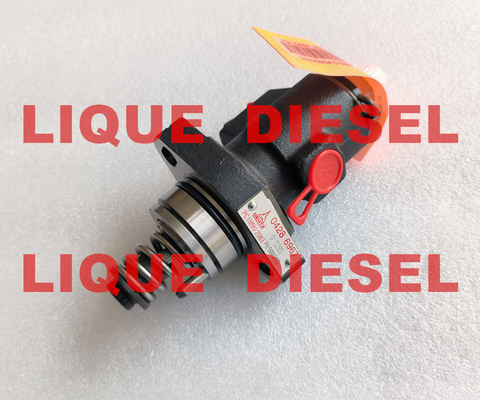 LA CHINE Pompe 0428 d'unité de DEUTZ 6967 04286967 0428-6967 04286967 original de C 04286967 A/B/C/D fournisseur