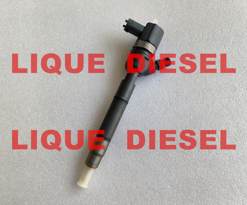 LA CHINE Injecteur de carburant commun 0445110410 33800-2A800 0 de rail de BOSCH 445 110 410 338002A800 33800 2A800 fournisseur