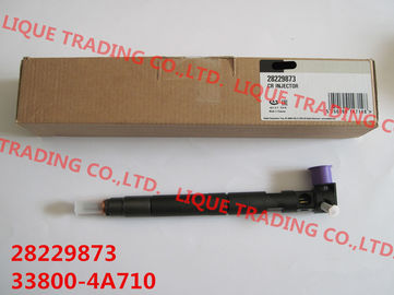 LA CHINE DELPHES injecteur commun véritable et nouvel de 33800-4A710 de rail 28229873/33800-4A710/338004A710 pour HYUNDA KIA fournisseur