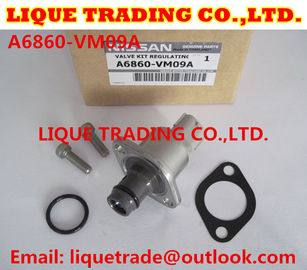 LA CHINE Kits de révision 294200-0360 294009-0250 pour MITSUBISHI 1460A037, NISSAN A6860-VM09A fournisseur