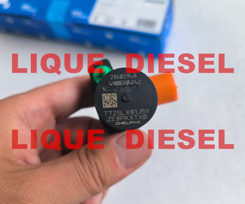 LA CHINE Injecteur commun de rail de DELPHI 28602948, 9674984080, 28388960, 28319895 injecteur de carburant fournisseur