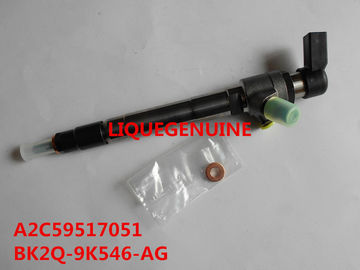 LA CHINE Injecteur commun de rail BK2Q-9K546-AG/BK2Q9K546AG/A2C59517051/1746967 fournisseur
