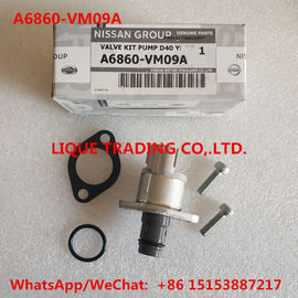 LA CHINE Les kits A6860-VM09A de révision de DENSO, incluent la valve 294200-0360 NISSAN A6860VM09A fournisseur