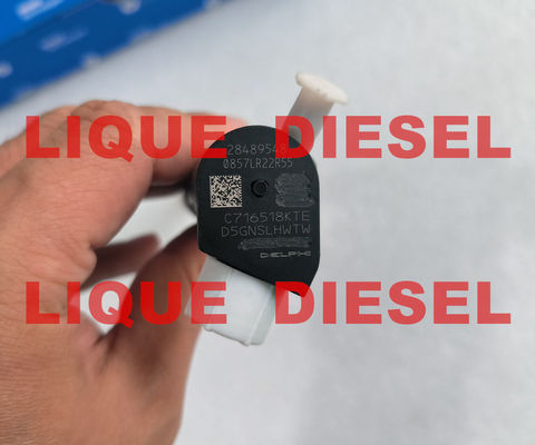 LA CHINE Injecteur de carburant DELPHI 28489548 25195089 = 28264951 25183186 100% authentique et neuf. fournisseur