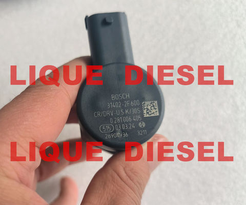 LA CHINE Régulateur de pression BOSCH DRV 0281006405 31402-2F600 vanne 0 281 006 405 281006405 314022F600 fournisseur