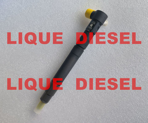 LA CHINE DELPHI EMBR00301D Injecteur à rail commun R00301D 6710170121 A6710170121 pour SSANGYONG Korando fournisseur