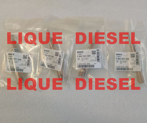 LA CHINE BOSCH Common rail injector valve F01G201011 F00VC01329 for 0445110168 0445110284 0445110315 fournisseur