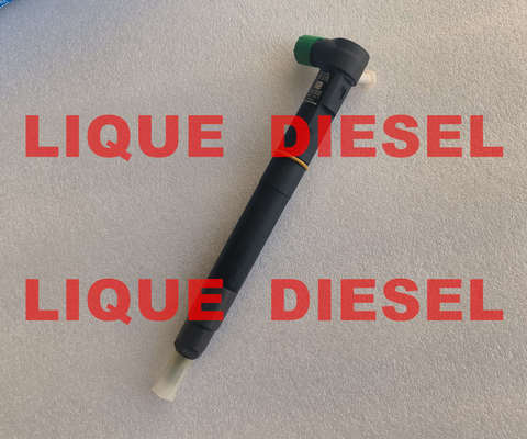 LA CHINE L'injecteur de carburant DELPHI 28384645 A6720170021 6720170021 pour SSANGYONG D22 EURO 6 fournisseur