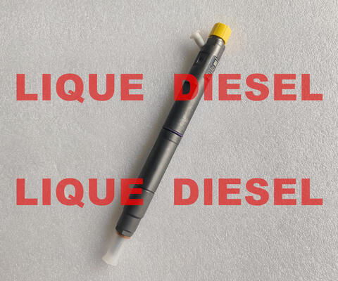 LA CHINE INJECTEUR COMMON RAIL 42039950 1100100XED95 INJECTEUR DE CARBURANT 1100100-XED9 fournisseur