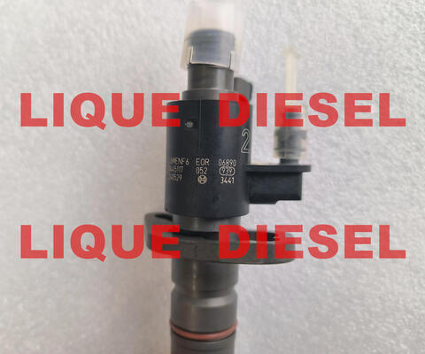 LA CHINE Injecteur Common Rail 0445116061 0445117052 0 445 116 061 0 445 117 052 445116061 445117052 fournisseur