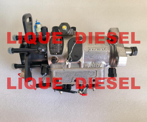 LA CHINE La pompe à carburant 3062F075 3062F074 fournisseur