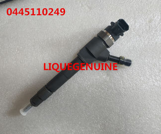 LA CHINE Injecteur commun 0445110249, 0 445 110 249, 0445 110 249 de rail de BOSCH fournisseur