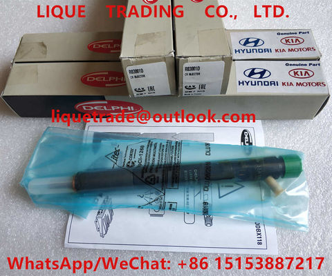 LA CHINE DELPHI Fuel Injector EJBR03001D/R03001D/33800-4X900/33801-4X900, 338004X900/338014X900 fournisseur