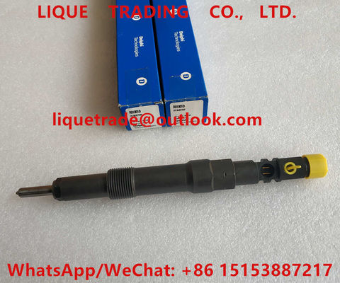 LA CHINE DELPHI Fuel Injector R01001D, injecteur de carburant véritable R01001D, EJDR01001D d'EJDR01001D fournisseur