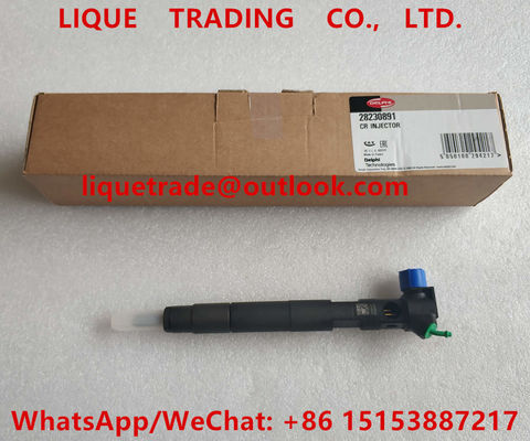 LA CHINE DELPHI Common Rail Injector 28230891, A6510701387 injecteur de carburant 6510701387 fournisseur