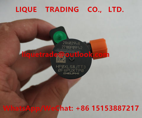 LA CHINE DELPHI Fuel Injector 28602948, 9674984080, 28388960, 28319895 fournisseur