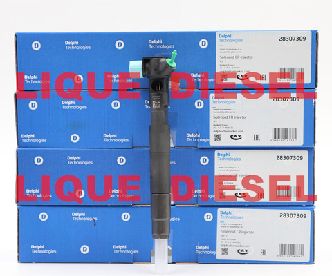 LA CHINE Injecteur 28307309, injecteur commun 28307309 de DELPHI Fuel de rail fournisseur