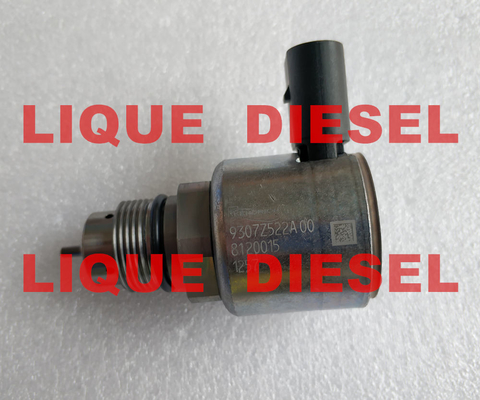 LA CHINE Soupape de refoulement de DELPHES 9307Z522A, 9307-522A, 9307522A véritable et nouveau fournisseur