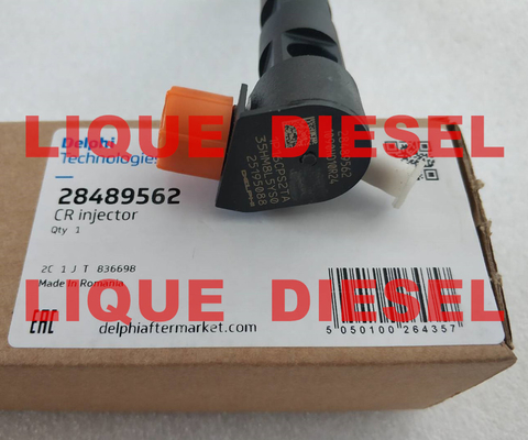 LA CHINE Injecteur 28489562, injecteur 28264952, 25183185 de DELPHES de rail de 25195088 terrains communaux fournisseur