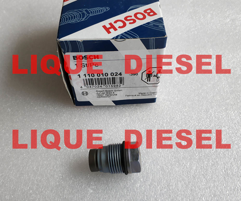 LA CHINE Valve 1110010024, 1 110 010 024, 1110 010 024 de décompression de BOSCH fournisseur