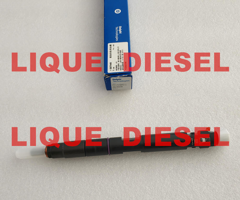 LA CHINE Injecteur 28270450 de DELPHI Fuel 32006828, 320-06828, 320 06828, 320/06828 fournisseur