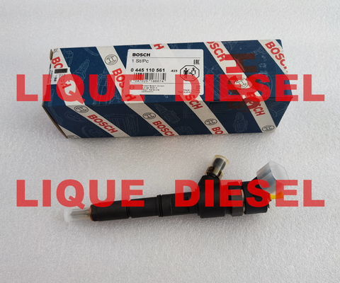 LA CHINE Injecteur commun 0445110561 de rail de BOSCH 0 445 110 561 0445 110 561 445110261 fournisseur