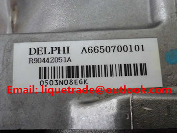 Pompe de DELPHES R9044Z051A/R9044Z162A pour SSANGYONG A6650700401, A6650700101 fournisseur