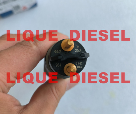Injecteur commun 0445120250 de rail de BOSCH 0 445 120 250 445120250 0445 120 250 fournisseur