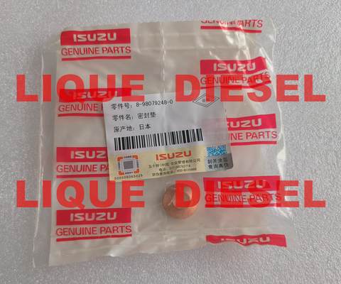 GARNITURE 8-98079248-0 D'ISUZU GARNITURE 8980792480 98079248 : BEC D'INJ fournisseur