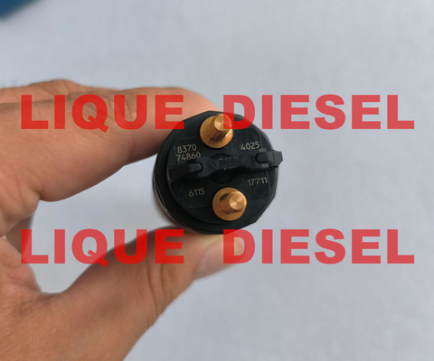 Injecteur de carburant commun 0 de rail de BOSCH 0445124025 445 124 025 837074860 POUR le MOTEUR de SISU fournisseur