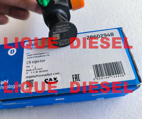 Injecteur à rampe commune DELPHI 28602948, 9674984080, 28388960, 28319895 fournisseur