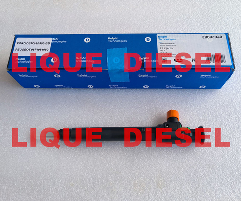 Injecteur à rampe commune DELPHI 28602948, 9674984080, 28388960, 28319895 fournisseur