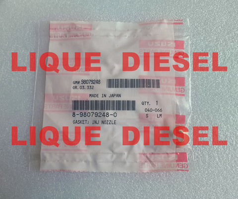 GARNITURE 8-98079248-0 D'ISUZU GARNITURE 8980792480 98079248 : BEC D'INJ fournisseur