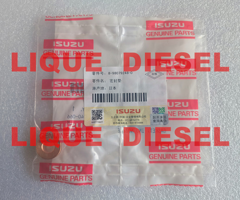 GARNITURE 8-98079248-0 D'ISUZU GARNITURE 8980792480 98079248 : BEC D'INJ fournisseur