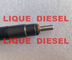 Injecteur de carburant de DELPHES 33800-4A710 28229873 pour HYUNDA KIA 33800 4A710 338004A710 fournisseur
