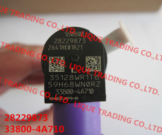 Injecteur de DELPHI Original 28229873/33800-4A710/338004A710 pour HYUNDA KIA fournisseur