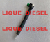 Injecteur 28347042 de DELPHI Fuel pour DOOSAN 400903-00043E 40090300043E 400903 00043E fournisseur