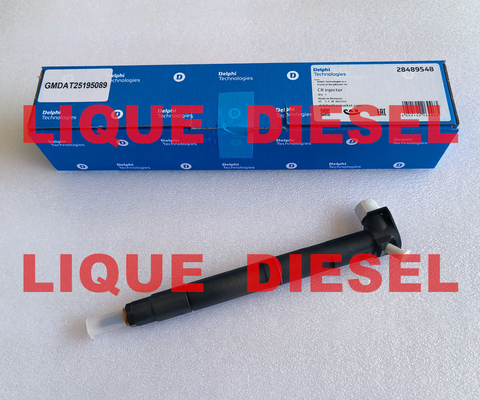 Injecteur 28489548 de rail de DELPHI Common 25195089 = 28264951 25183186 100% véritables et nouveaux. fournisseur