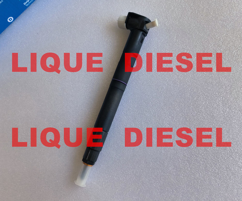 Injecteur 28489548 de rail de DELPHI Common 25195089 = 28264951 25183186 100% véritables et nouveaux. fournisseur