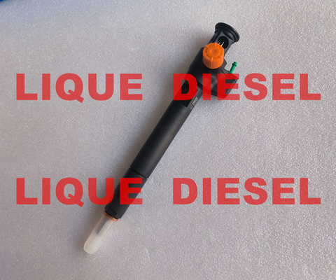 Injecteur commun de rail de DELPHI 28602948, 9674984080, 28388960, 28319895 injecteur de carburant fournisseur