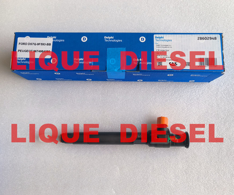 Injecteur commun de rail de DELPHI 28602948, 9674984080, 28388960, 28319895 injecteur de carburant fournisseur