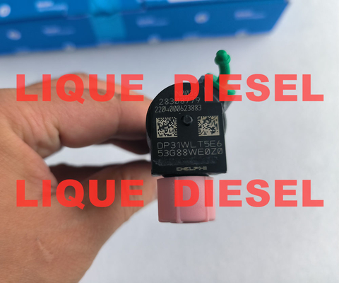 DELPHI Injecteur commun 28308779 A6510703287 6510703287 injecteur commun fournisseur