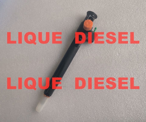 DELPHI Injecteur commun rail 28602948 9674984080 28388960 D57Q-9F-893-BB D57Q9F893BB fournisseur