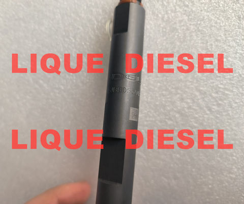 DELPHI Injecteur de carburant B05501A LJBB05501A 320-06837 32006837 320 06837 5501A fournisseur