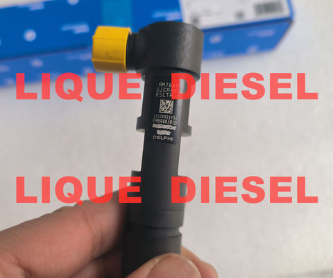 DELPHI Injecteur à rail commun EMBR00301D R00301D 6710170121 A6710170121 pour SSANGYONG Korando fournisseur