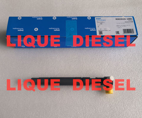 DELPHI Injecteur à rail commun EMBR00301D R00301D 6710170121 A6710170121 pour SSANGYONG Korando fournisseur