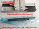 DELPHI Common Rail Injector EJBR05001D, R05001D, 320/06623 fournisseur