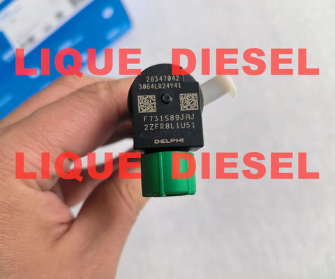 Injecteur DELPHI commun rail 28347042 pour DOOSAN 400903-00043E 40090300043E 400903 00043E fournisseur